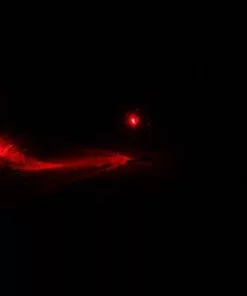 ROJO LED Rücklicht Mit 2x 0.5W-LED Von D-LIGHT 6 ROJO LED Rücklicht Mit 2x 0.5W-LED Von D-LIGHT -Reperatur & Pflege Verkäufe 6Qkx4ZgXO5BwrePcQVZ61A 33001970 001 3